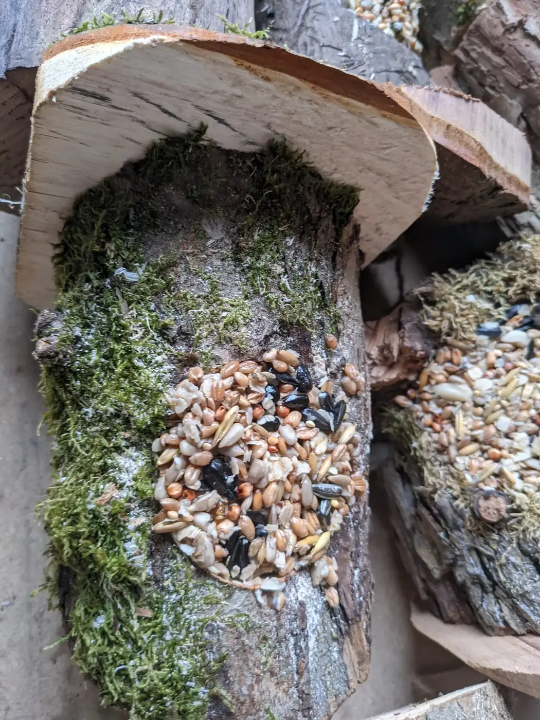 Nahaufnahme eines rustikalen Vogelfutterhauses aus Naturholz